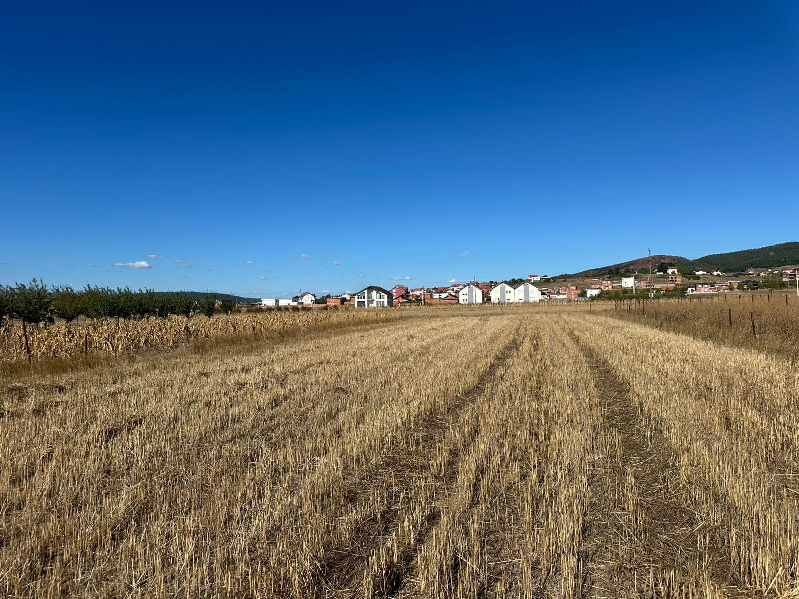 Parcela 6 Ari në Bernicë të Poshtme - Mundësi ndarje 3/3 photo 4